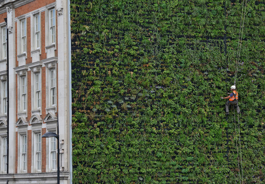 Can Exterior Green Walls Contribute to a Carbon Neutral Architecture ...